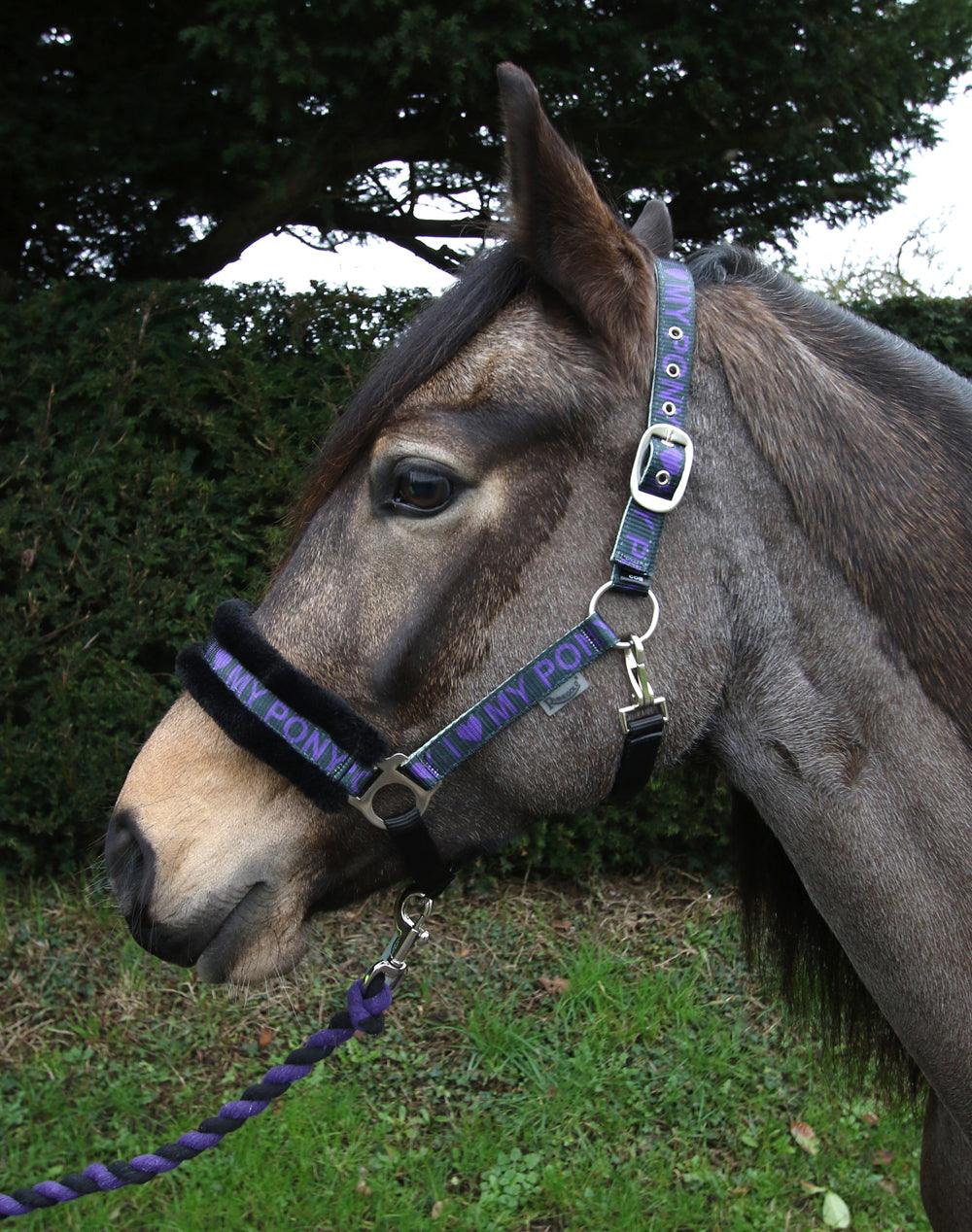 Rhinegold Licol et Longe Love My Pony Violet - SHOPHORSE