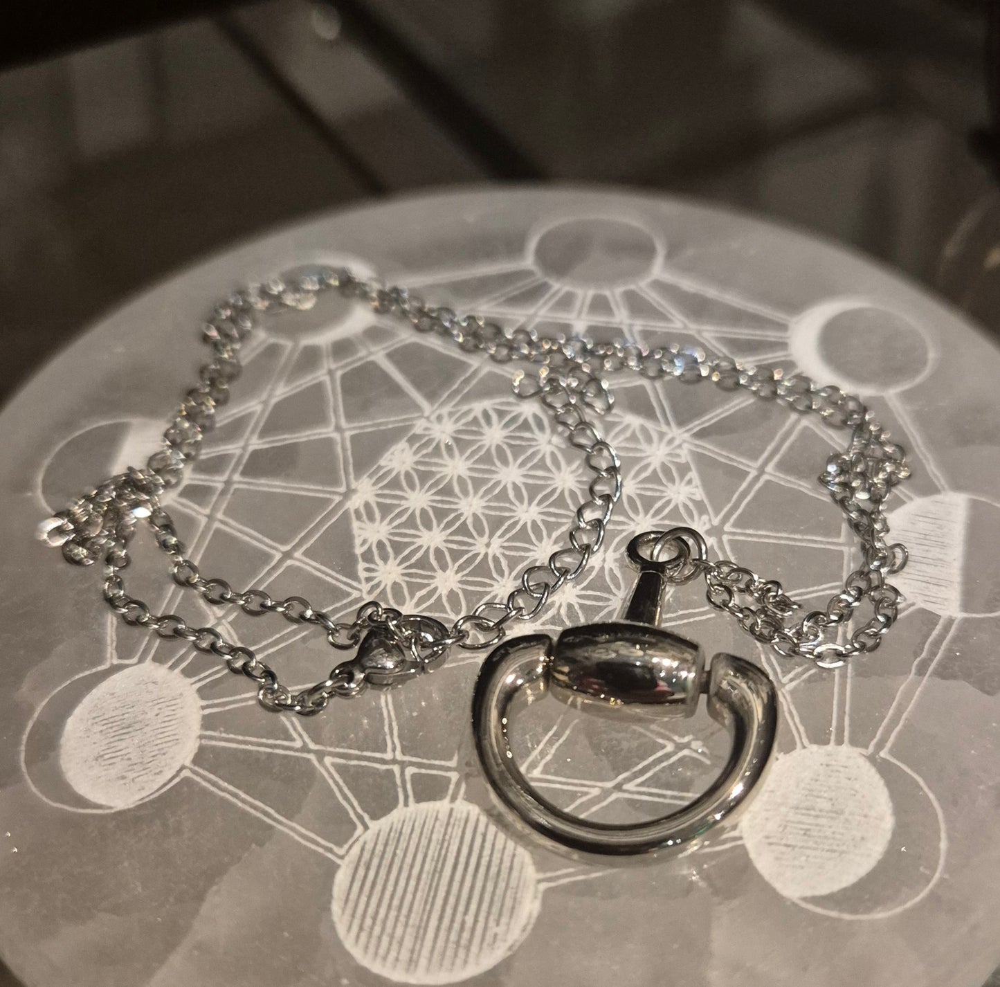 Collier Mors a Cheval Inox