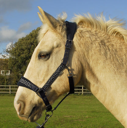 Rhinegold licol et longe Star