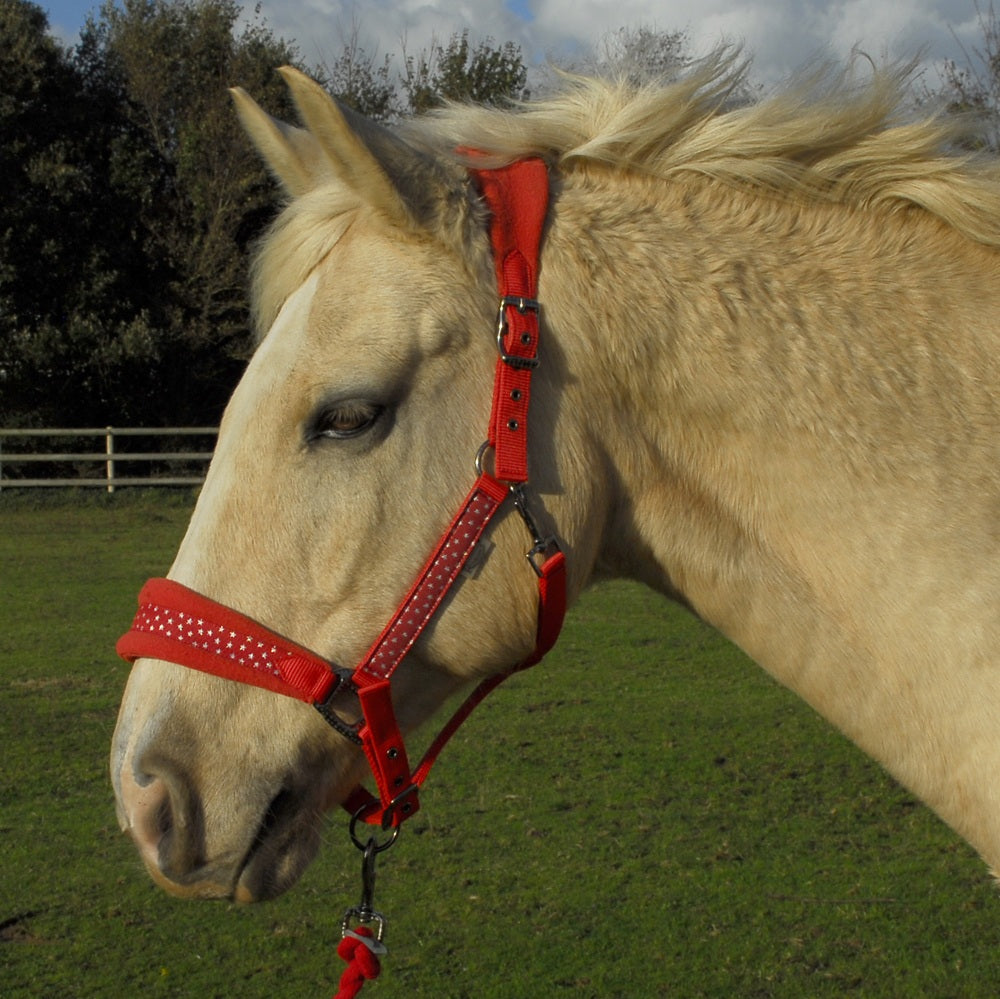 Rhinegold licol et longe Star