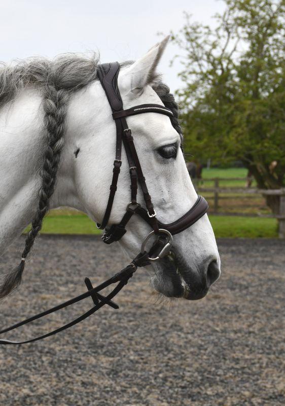 Rhinegold Bridon Anatomique - SHOPHORSE