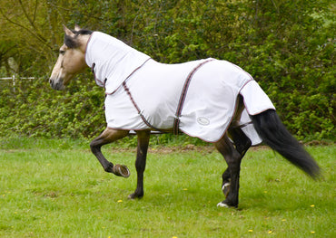 Rhinegold Chemise Anti-mouches Kenya