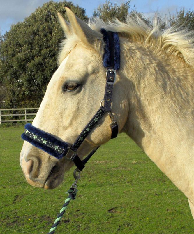 Rhinegold Licol et longe Etoiles - SHOPHORSE