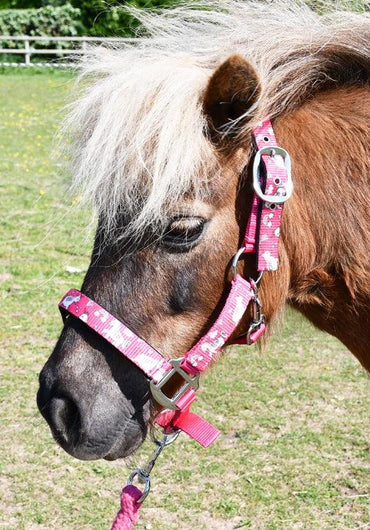 Rhinegold Licol et Longe Licorne - SHOPHORSE