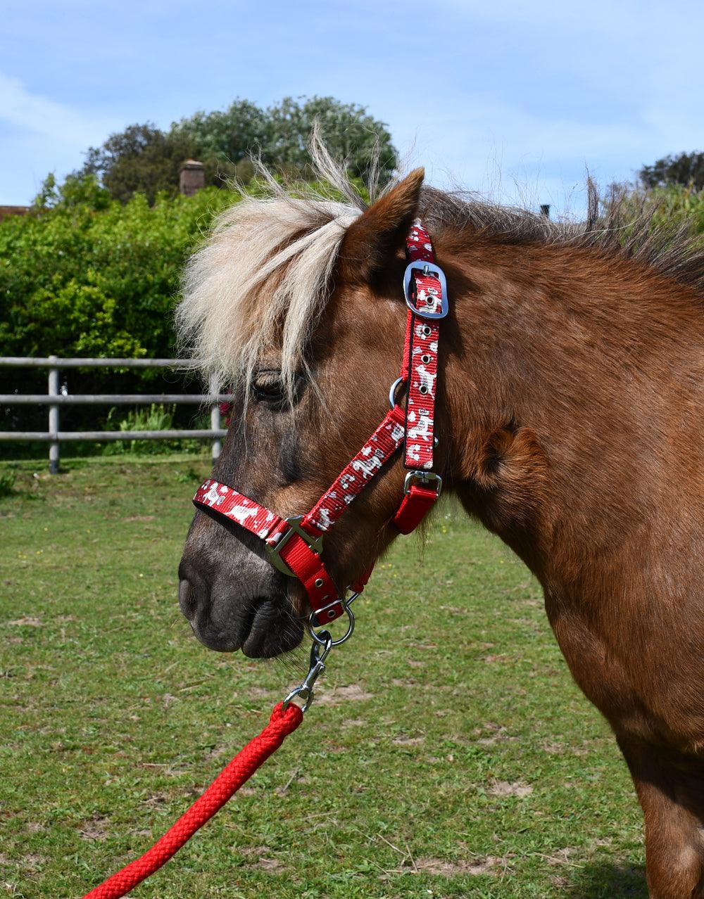 Rhinegold Licol et Longe Licorne - SHOPHORSE