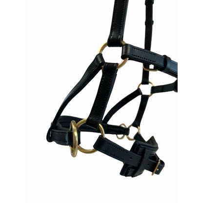 TdeT Sidepull en Cuir