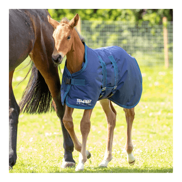 Tempest Couverture Poulain 200g