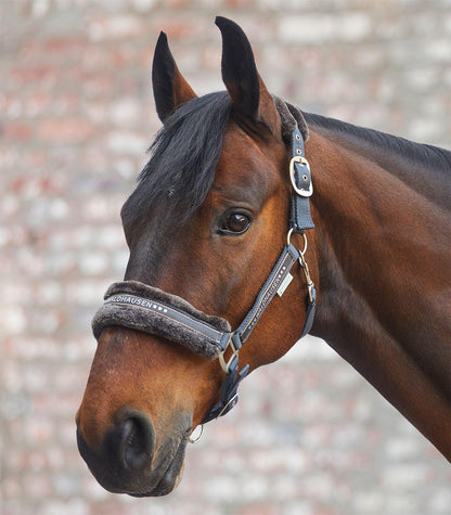 Licol Elegant - SHOPHORSE