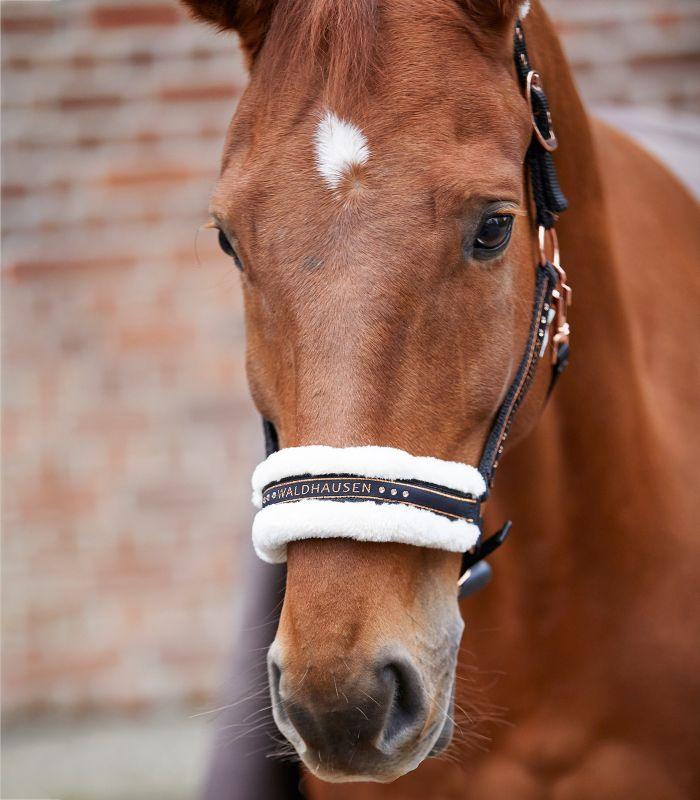 Licol Elegant - SHOPHORSE