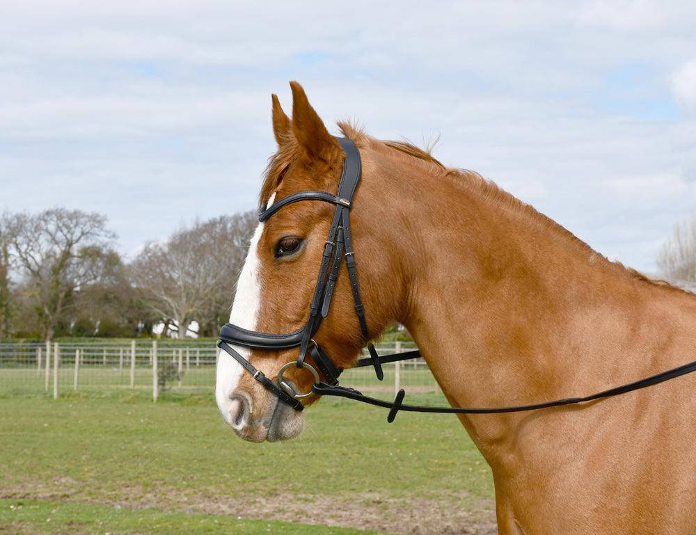 Windsor Bridon Anatomique - SHOPHORSE
