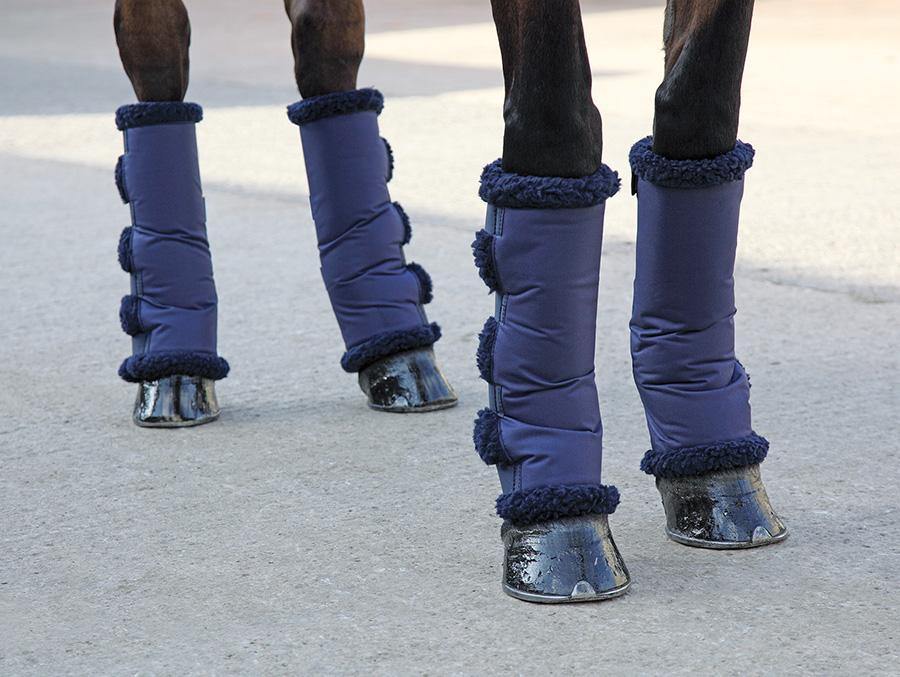 Shires Guetres de Transport Compact - SHOPHORSE