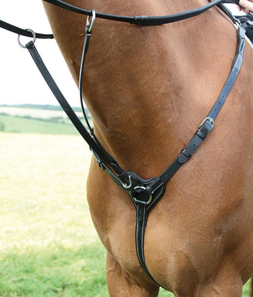 Salisbury Collier de Chasse 3 point - SHOP HORSE
