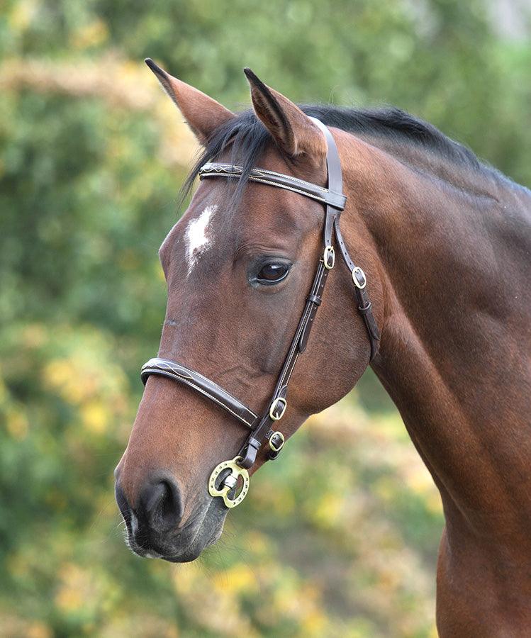 Shires Bridon de Presentation Fancy - SHOP HORSE