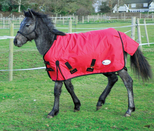 Rhinegold Konig couverture Mini 200g - SHOPHORSE