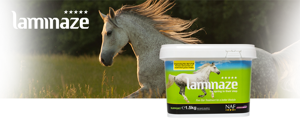 NAF Laminaze  pour Fourbure - SHOPHORSE