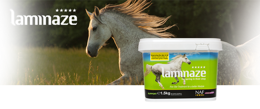 NAF Laminaze  pour Fourbure - SHOPHORSE