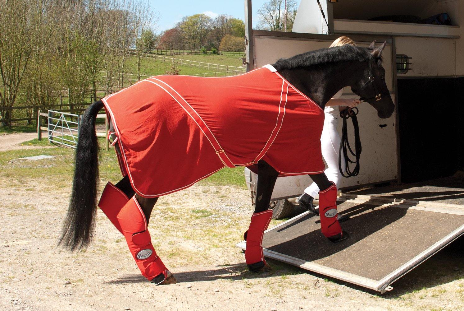 Rhinegold Guetres de Transport Ripstop - SHOPHORSE