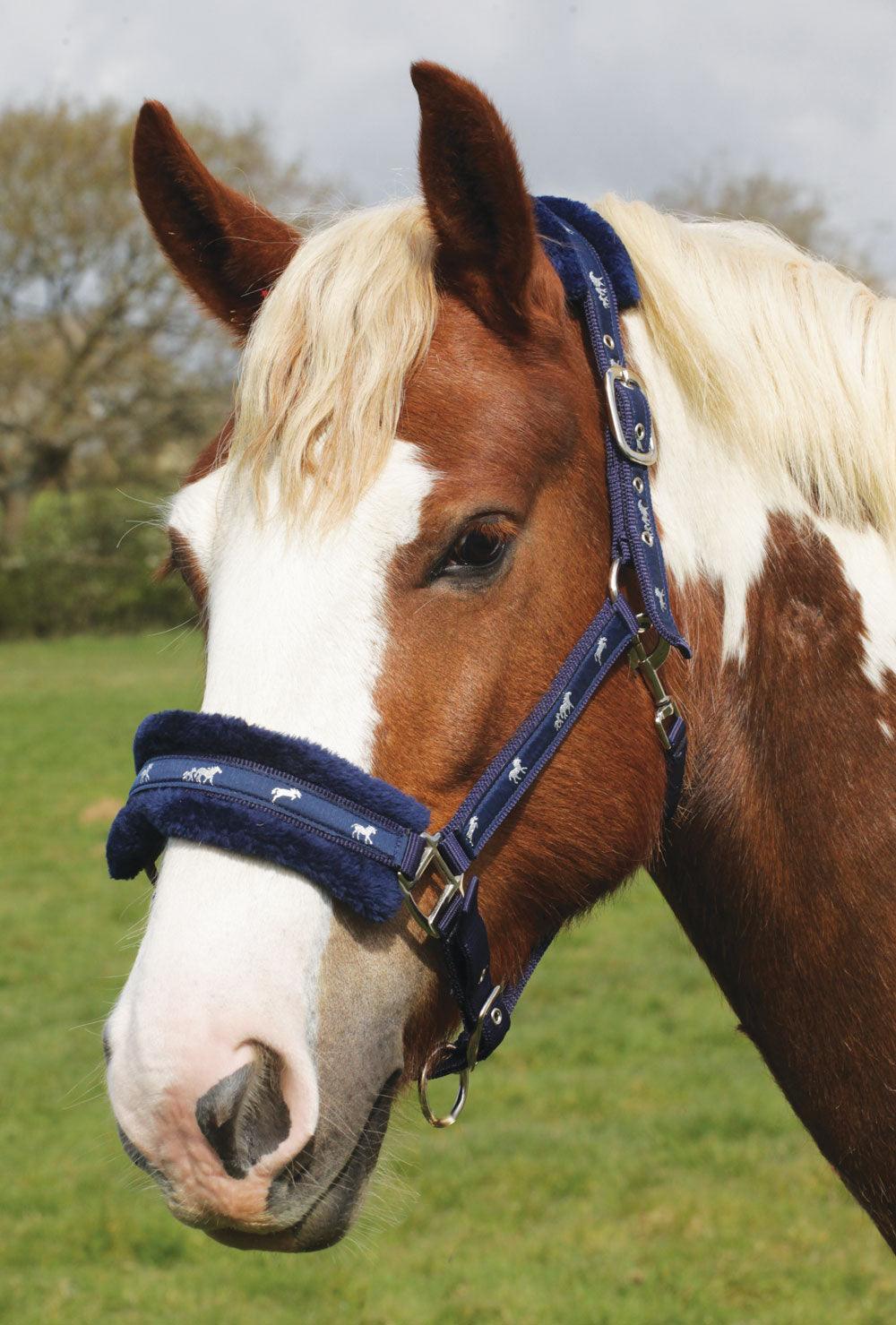 Rhinegold Licol Fluffy - SHOP HORSE