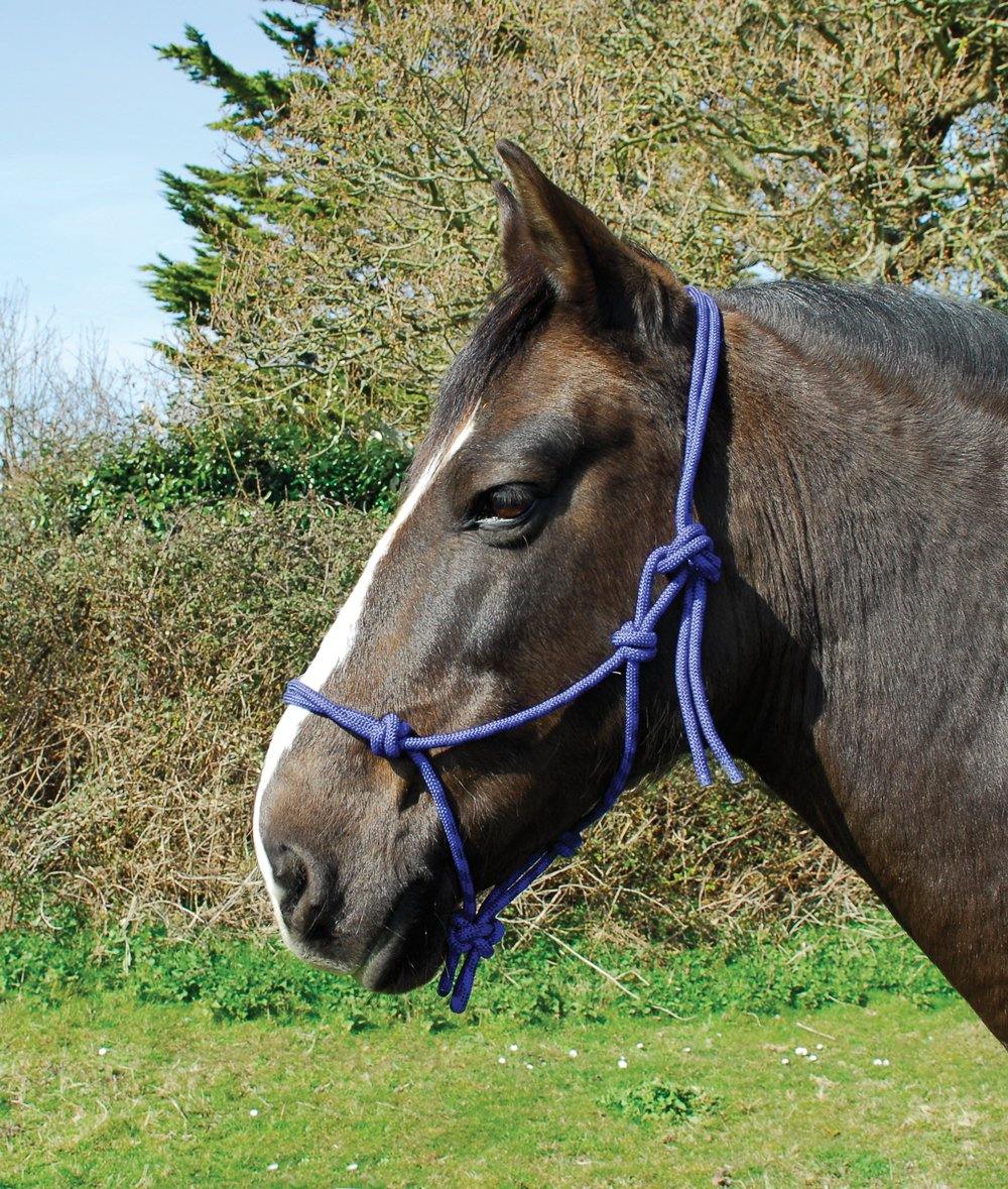 Rhinegold Licol Ethologique - SHOPHORSE