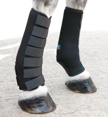 Westropp Guetres de Paddock - SHOP HORSE
