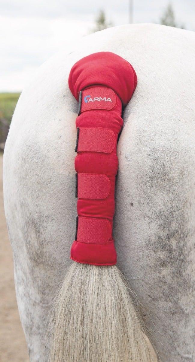 Arma Protege Queue - SHOPHORSE