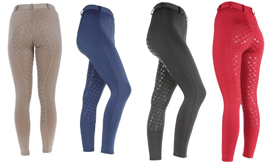 Aubrion Leggings d'Equitation Albany - SHOPHORSE