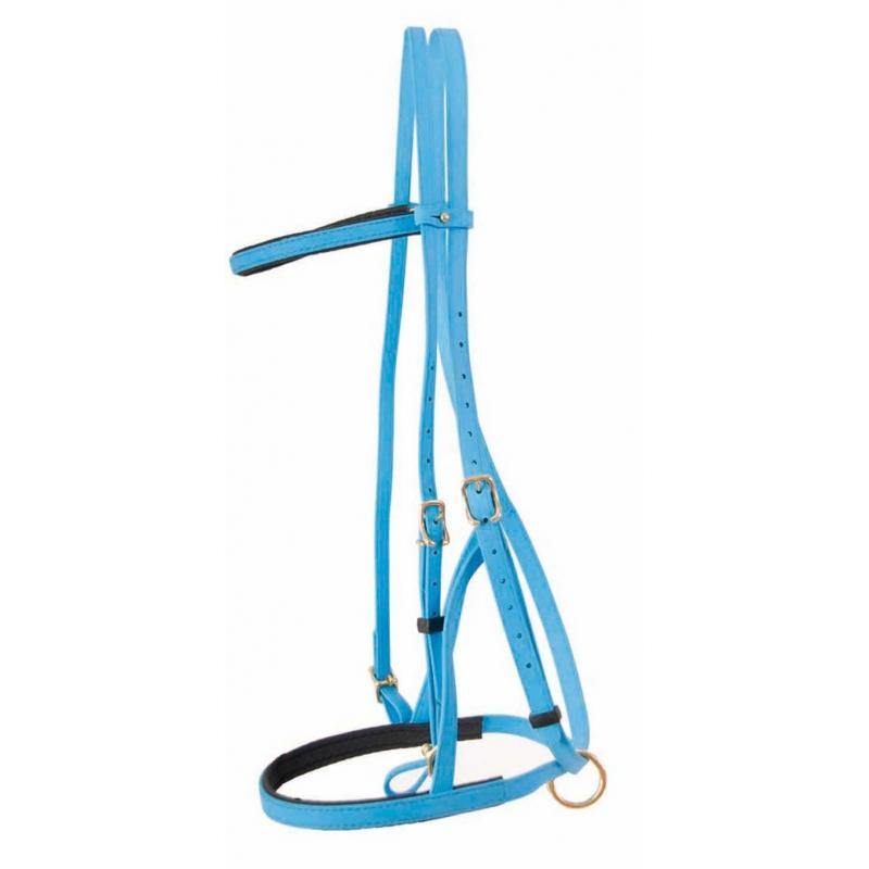 Biotack Bridon Licol - SHOP HORSE
