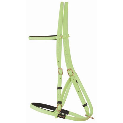Biotack Bridon Licol - SHOP HORSE