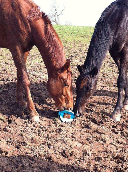 Bizzy Bites Jouet pour Cheval - SHOPHORSE