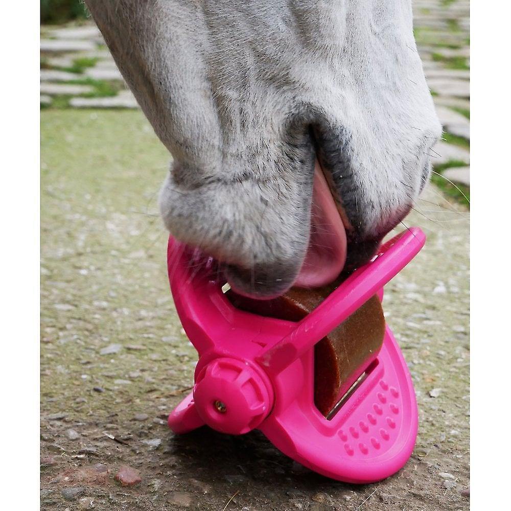 Bizzy Bites Jouet pour Cheval - SHOPHORSE