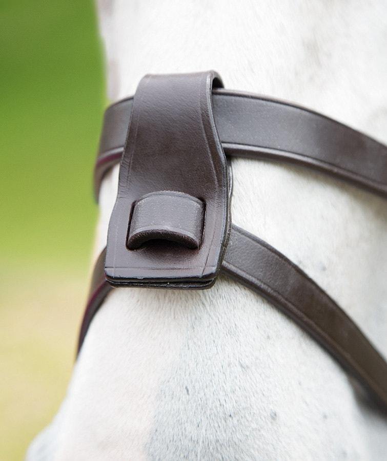 Blenheim Alliance de Muserolle - SHOPHORSE