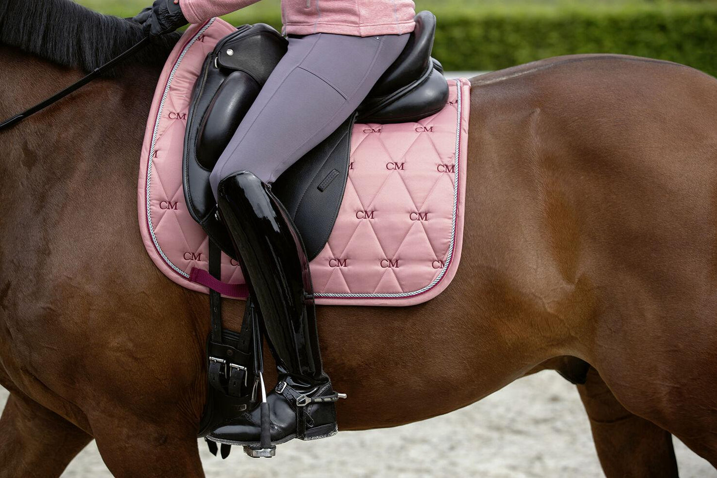 Cavallino Marino Tapis Della Sera - SHOPHORSE
