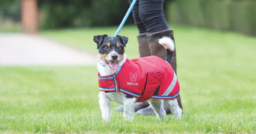 Digby & Fox Couverture Chien rouge - SHOPHORSE