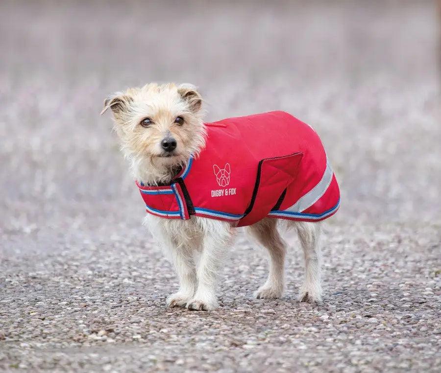 Digby & Fox Couverture Chien rouge - SHOPHORSE