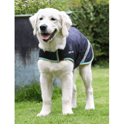 Digby & Fox Couverture Chien Marine - SHOPHORSE