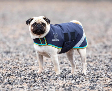 Digby & Fox Couverture Chien Marine - SHOPHORSE