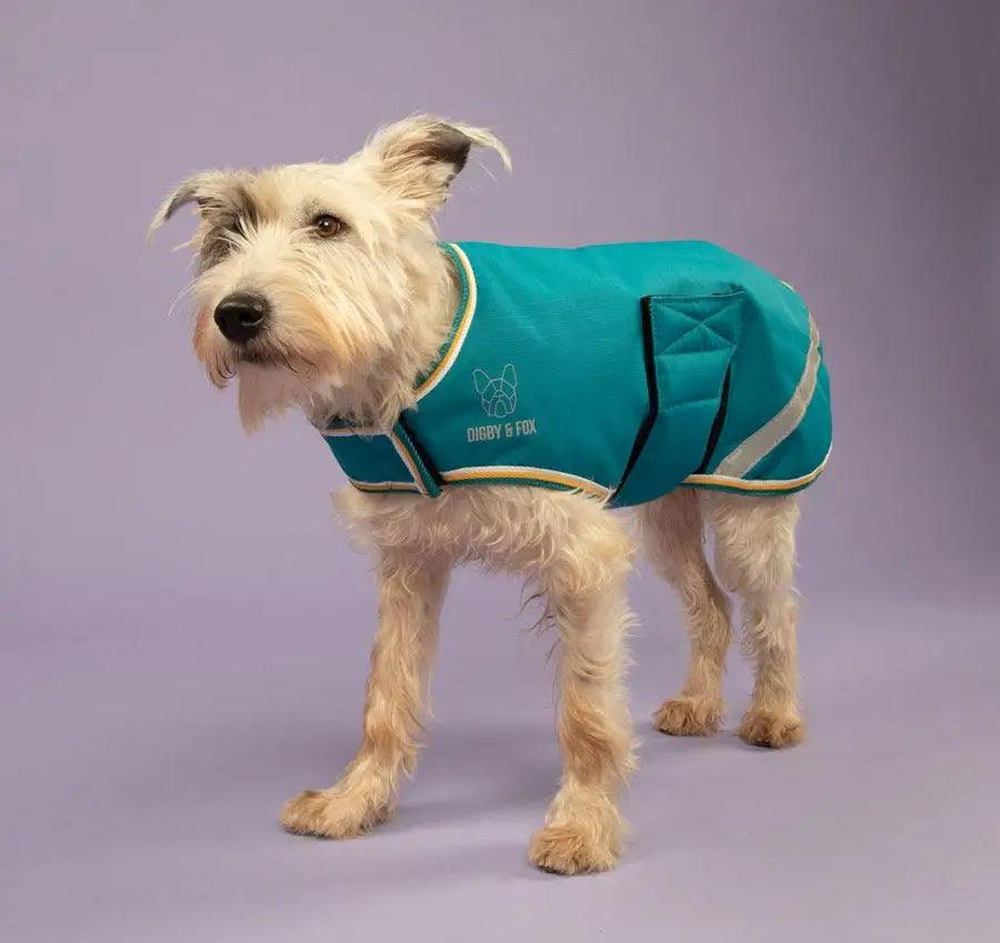 Digby & Fox Couverture Chien Teal - SHOPHORSE