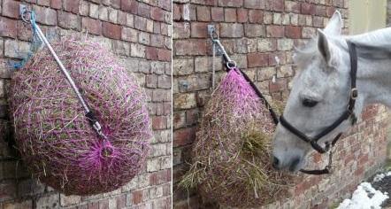 Easy Net Filet a Foin - SHOPHORSE