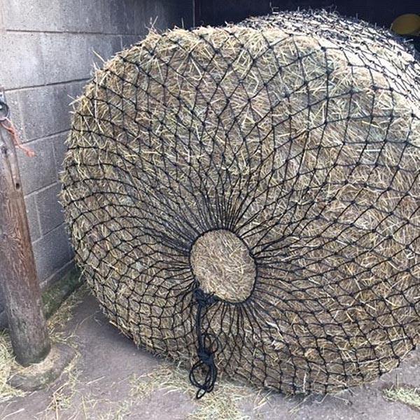 Tintagel filet a foin pour Grand Balles Rond - SHOP HORSE