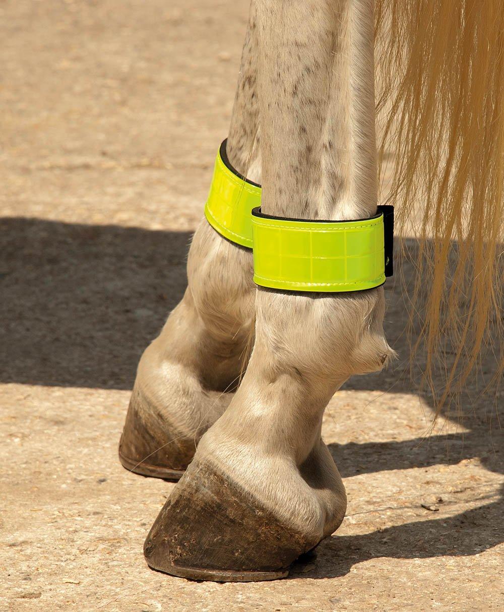 Harlequin Bandes Reflechissantes - SHOPHORSE