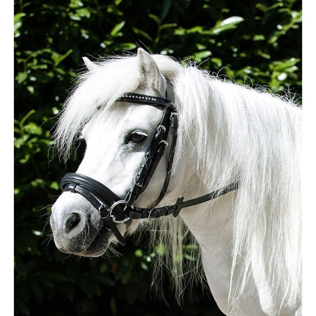 HKM Bridon Mini Shetty - SHOPHORSE