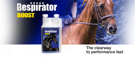 NAF Respirator Boost - SHOPHORSE