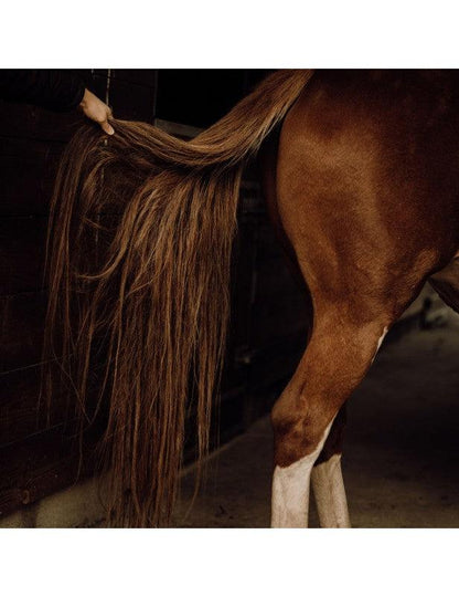 Nellumbo Démêlant Naturel Crins - SHOPHORSE