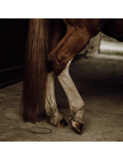 Nellumbo Démêlant Naturel Crins - SHOPHORSE