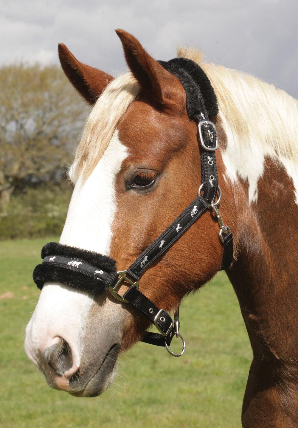 Rhinegold Licol Fluffy - SHOP HORSE