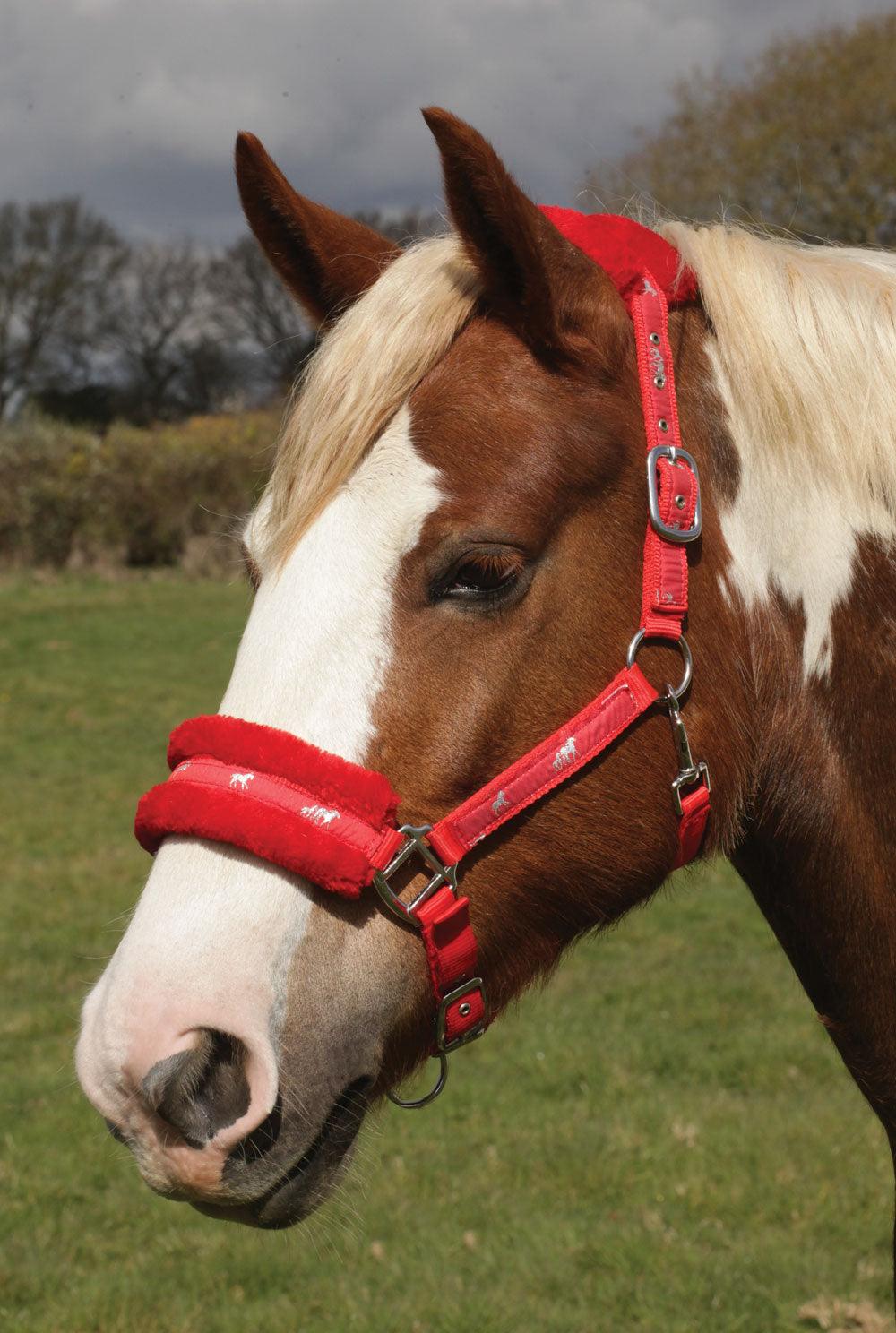 Rhinegold Licol Fluffy - SHOP HORSE