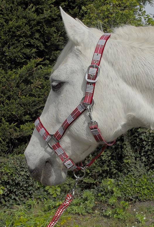 Rhinegold Carnival Licol et Longe - SHOPHORSE