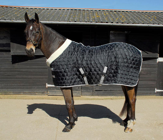 Rhinegold Detroit Couverture d'Ecurie 150g - SHOPHORSE