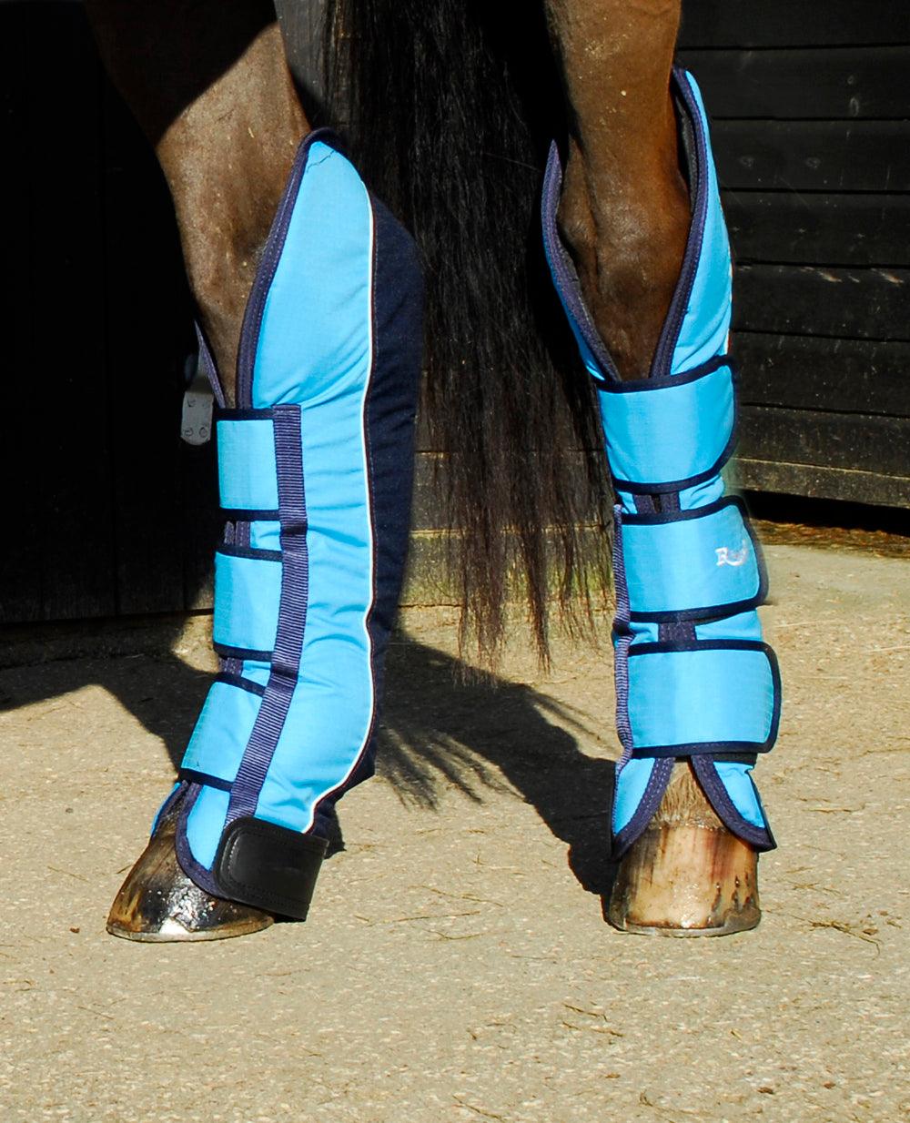 Rhinegold Elite Guetres de Transport - SHOPHORSE