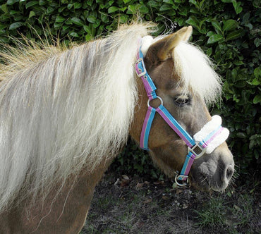 Rhinegold Licol Bright - SHOPHORSE